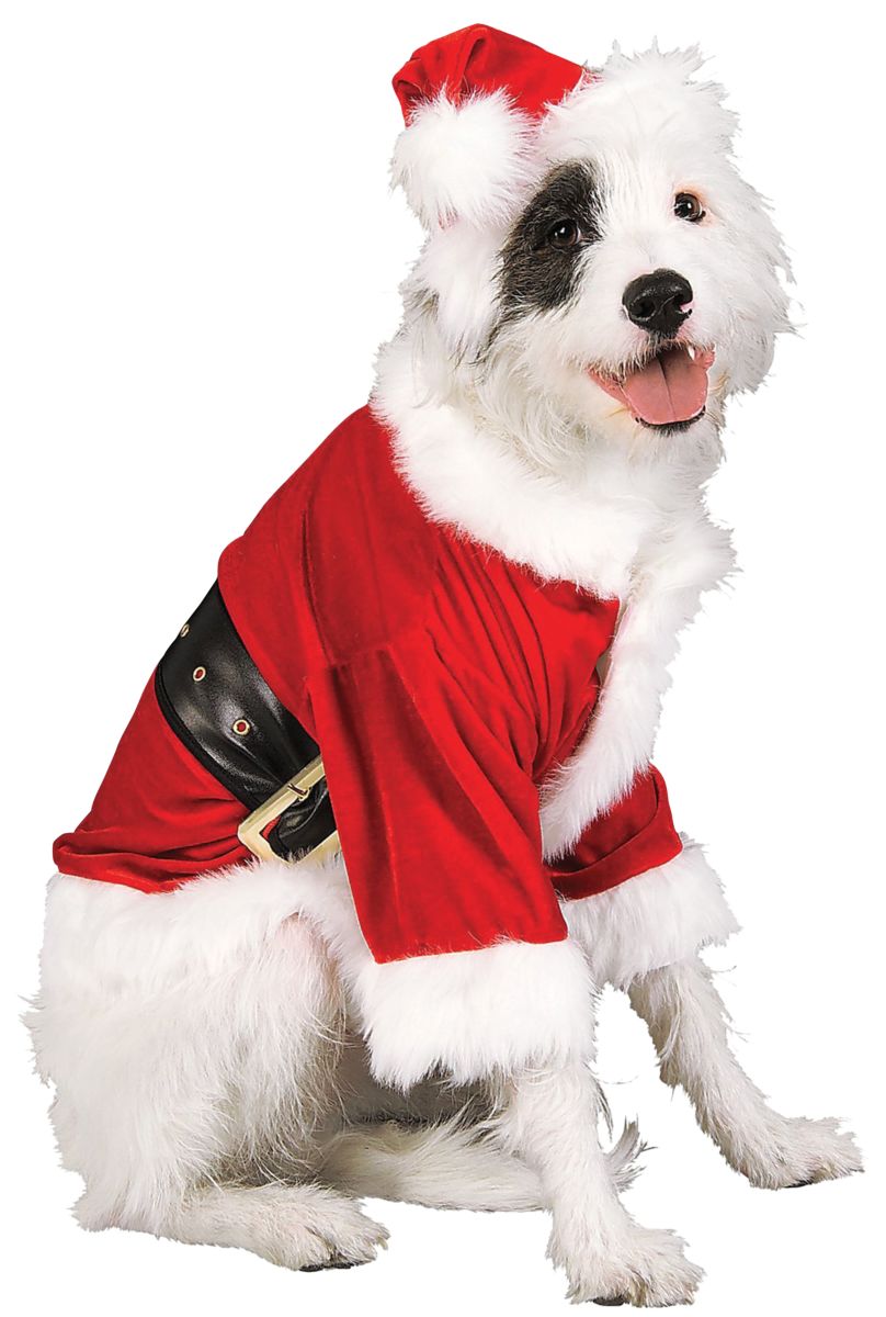 Christmas Pet Costume, Santa Claus, Large