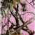 Pink Camo Napkins (Luncheon, 16 Pack) Pink Camo Party Collection By Havercamp