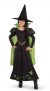 Rubies Costume Wizard Of Oz Wicked Witch Of The West S