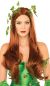 Secret Wishes Womens Dc Comics Poison Ivy Wig, Multi, One Size