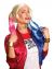Rubies Costume Womens Suicide Squad Harley Jewelry Set, As Shown, One Size
