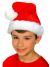 Rubies Costume Co Child Plush Santa Hat Costume