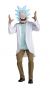 Adult Rick and Morty Rick Costume, Large