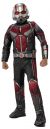 Boys Avengers 4 Endgame Deluxe Ant-Man Costume, Large