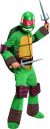 Teenage Mutant Ninja Turtles Deluxe Raphael Costume Toddler 1-2