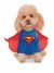 Classic with Arms Pet Superman Costume Small