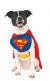 Classic Without Arms Pet Superman Costume Small