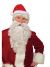 Rubies Unisex-Adults Deluxe Costume Accessory Santa Eyebrows, White, One Size