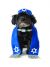 Rubies Yarmulke And Tallis Dog Costume