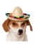 Rubies Costume 888594-M-L Co Pet Sombrero Hat With Multicolor Trim, Medium/Large